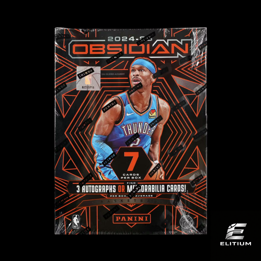 2024/25 Panini Obsidian Basketball Hobby Box